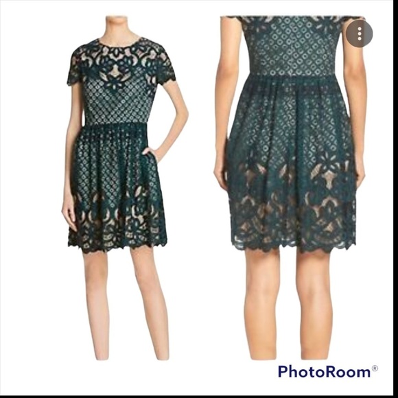ELIZA J Forest Green Lace Short Sleeve Fit & Flare Mini Cocktail Dress S… - Picture 1 of 8